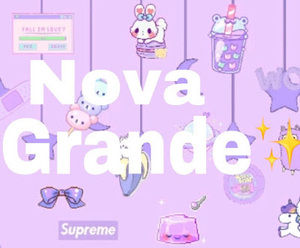 Meet your Posher, Nova